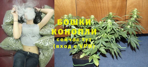Альфа ПВП Протвино