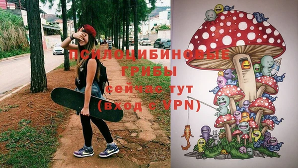 трава Новозыбков