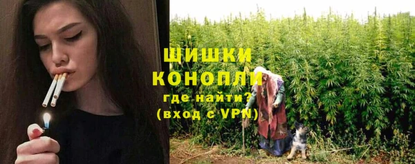 дмт Новокубанск