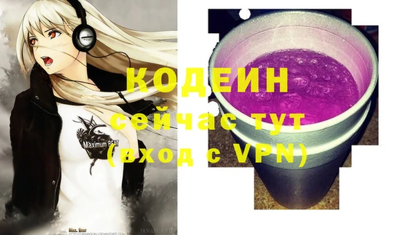 спайс Няндома
