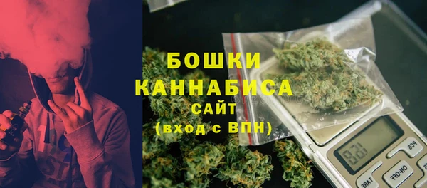дживик Новодвинск