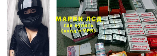 трава Новозыбков