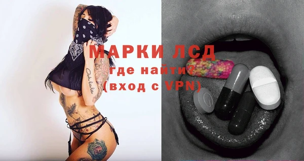 дмт Новокубанск