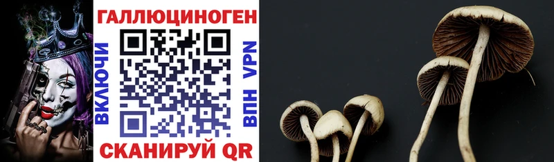Галлюциногенные грибы Magic Shrooms  Кола 